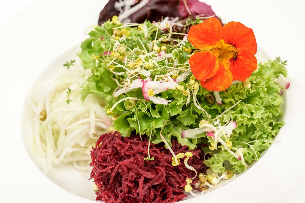 Berghues Schratt - Einfach Anders - Ihr Vegetarisches Und Veganes Biohotel Oberstaufen Extérieur photo