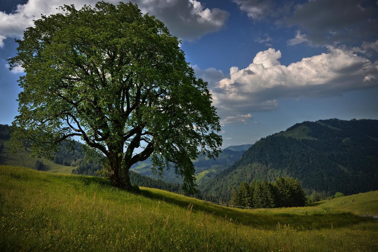 Berghues Schratt - Einfach Anders - Ihr Vegetarisches Und Veganes Biohotel Oberstaufen Extérieur photo