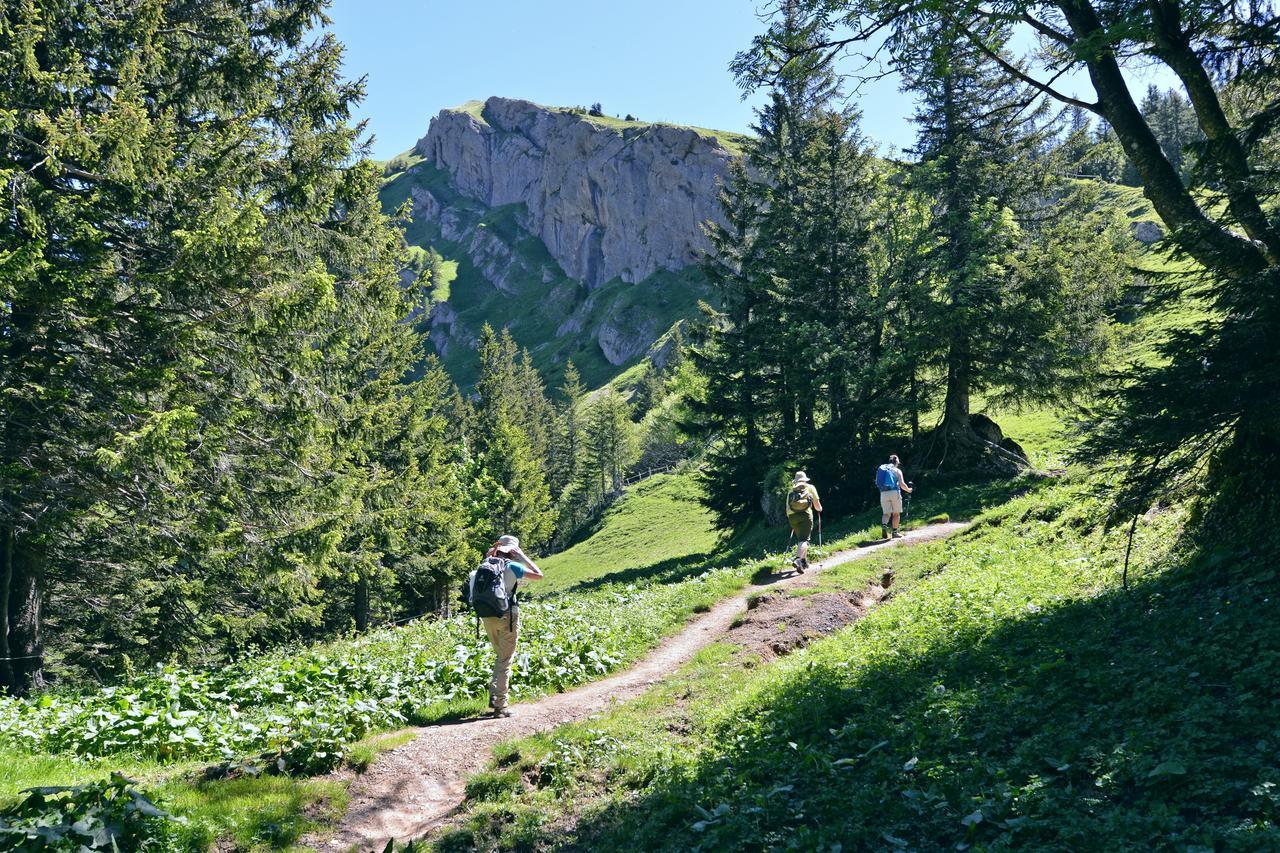 Berghues Schratt - Einfach Anders - Ihr Vegetarisches Und Veganes Biohotel Oberstaufen Extérieur photo