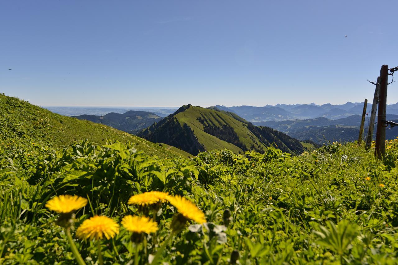 Berghues Schratt - Einfach Anders - Ihr Vegetarisches Und Veganes Biohotel Oberstaufen Extérieur photo